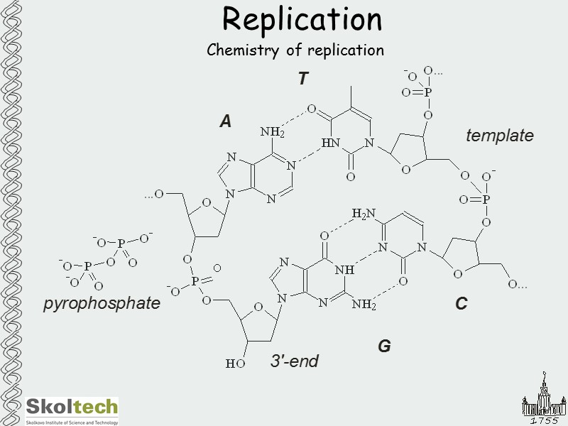 Replication Chemistry of replication